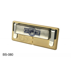 Namensschild mit goldfarbiger Metalllegierung mit Magnet